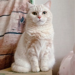 まんまるまるちゃん(^^)