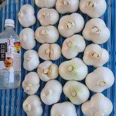 ジャンボニンニク　100円～300円の画像