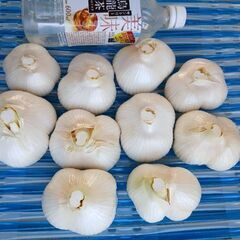 ジャンボニンニク　100円～300円の画像