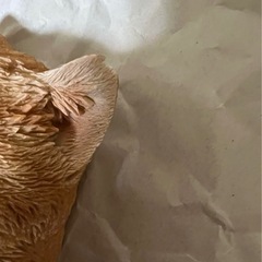 猫　ネコ　茶トラ　置物　２つの画像