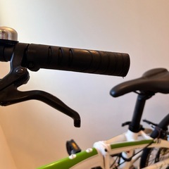 年内最後のセールTERN LINK N8の画像