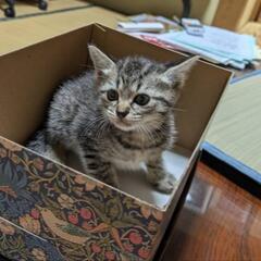 おちゃめな２兄弟です