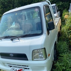 スバル　サンバートラック TT1