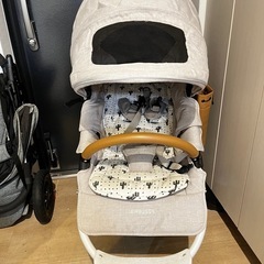 値引き可能【人気色】エアバギー　アースサンド