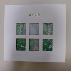 【新品】Anua アヌア　2023春限定ボックス　春のアヌアガーデン　韓国スキンケアセット　韓国コスメの画像