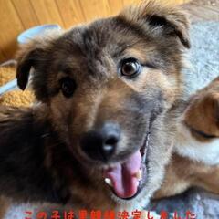 代わりに投稿しております。まだ募集しております‼️