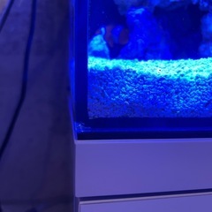 水槽の画像