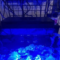 水槽の画像