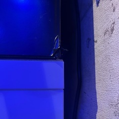 水槽の画像