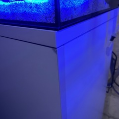 水槽の画像