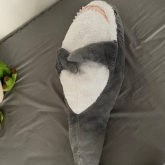 癒し♪ IKEA 大きいサメのぬいぐるみ　モコモコの画像
