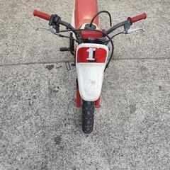 YAMAHA PW50 の画像