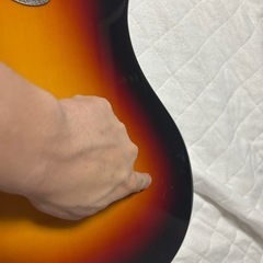 モズライト(ジャンク)の画像