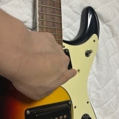 モズライト(ジャンク)の画像