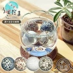 メダカ用品お譲りください！