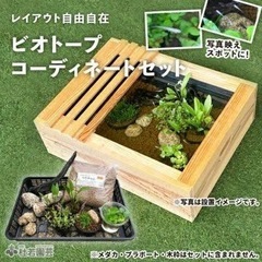 メダカ用品お譲りください！ - 北葛飾郡