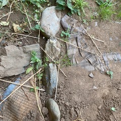 庭石　の画像
