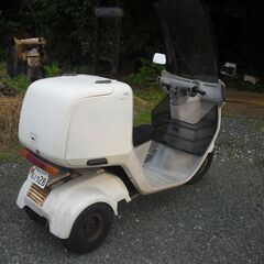  自賠責付き HONDA GYRO CANOPY ジャイロ キャノピー(TA02) ホワイトの画像