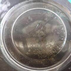 マリアージュ　卵　メダカの画像