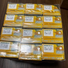 パイン❣️12本セット②の画像