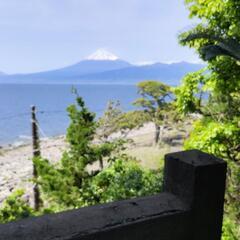 伊豆の国市　メンタル疾患　居場所　月の仲間