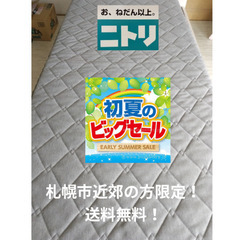 初夏のビックセール！札幌市近郊の方限定！送料無料！ニトリ ２段ベ...