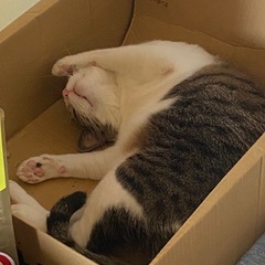 女性ボーカルいりませんか？