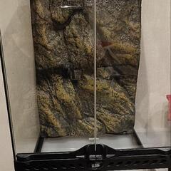 グラステラリウムの中古が安い！激安で譲ります・無料であげます
