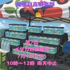 7月13日(日)メダカ対面販売10時〜12時