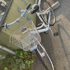 ブリヂストン　アルベルトの画像