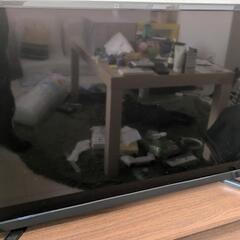 テレビ