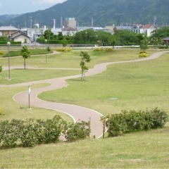7/19(土)ごみ拾い@焼津