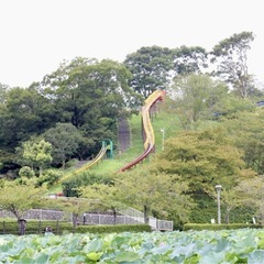 7/27(日)ごみ拾い@藤枝