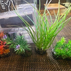 水槽セットLEDライト付き 20×20×20 の画像