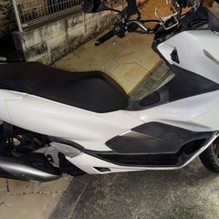 PCX81
