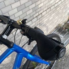 トレック FX2 Lサイズ 2021年式