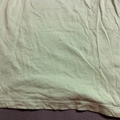 H&M T-Rex スパンコール Tシャツ (122/128)  T-Rexのスパンコールデザインが特徴のライトグリーンTシャツ。  - ブランド: H&M - サイズ: EUR 122/128 の画像