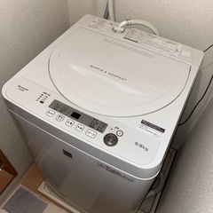 SHARP洗濯機の画像