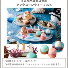 7月 すみだ水族館コラボのアフヌンご一緒できる方🦭💓