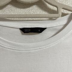SEED シード Tシャツの画像