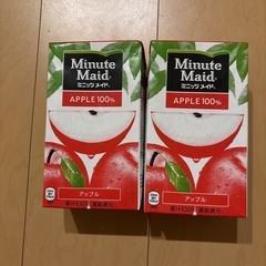 ミニッツメイドりんご100%