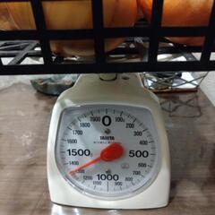 玉ねぎ①の画像