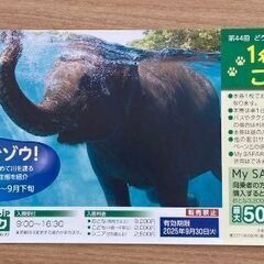富士サファリパーク　1名様無料ご招待券