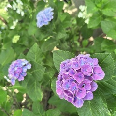 7月2日ランチしませんか🙋‍♀️