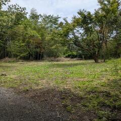 貸地 譲渡型賃貸可能 キャンプ場 誰にも会わずに自分の自由にでき...