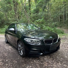レアなマニュアル車　MT BMW 2シリーズ　M235i  3リッターターボの画像