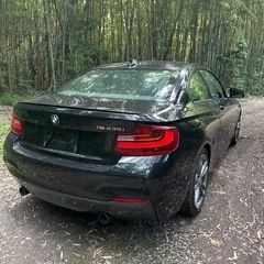 レアなマニュアル車　MT BMW 2シリーズ　M235i  3リッターターボの画像