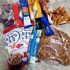 キャットフード
