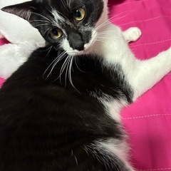 緊急です🚨