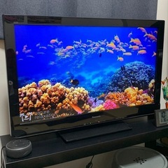  Panasonic VIERA(7/4まで
)